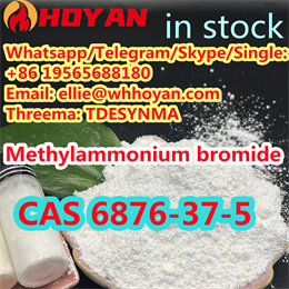 New CAS 6876-37-5 Methylammonium Bromide in stock +86 19565688180